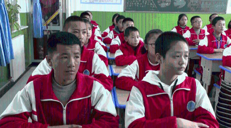 救援白色小猫