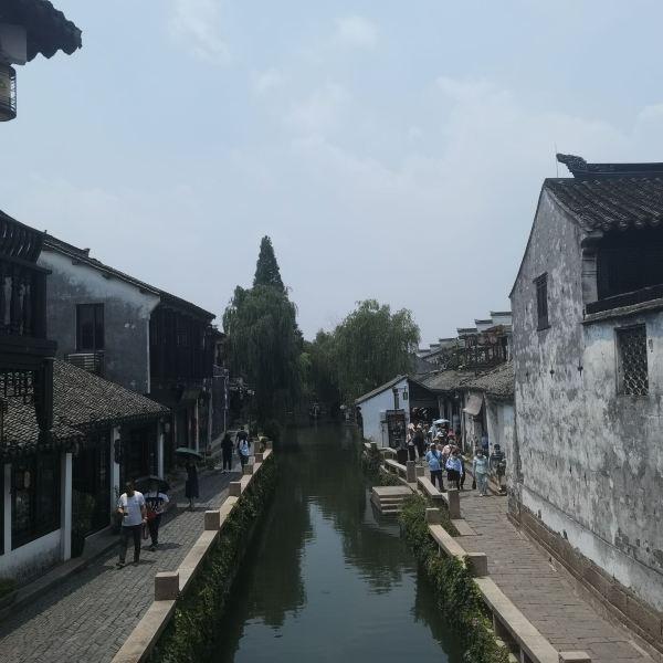 果冻分裂